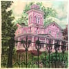 The Pink House