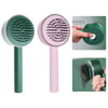 Self Cleaning Hair Brush 