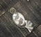 Image of Large Gingko Leaf Clear Quartz Art Nouveau-Inspired Statement Pendant