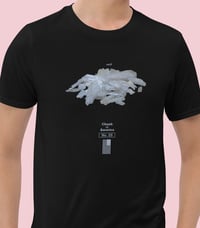 Image 1 of Meth / CoA No. 25  T-Shirt