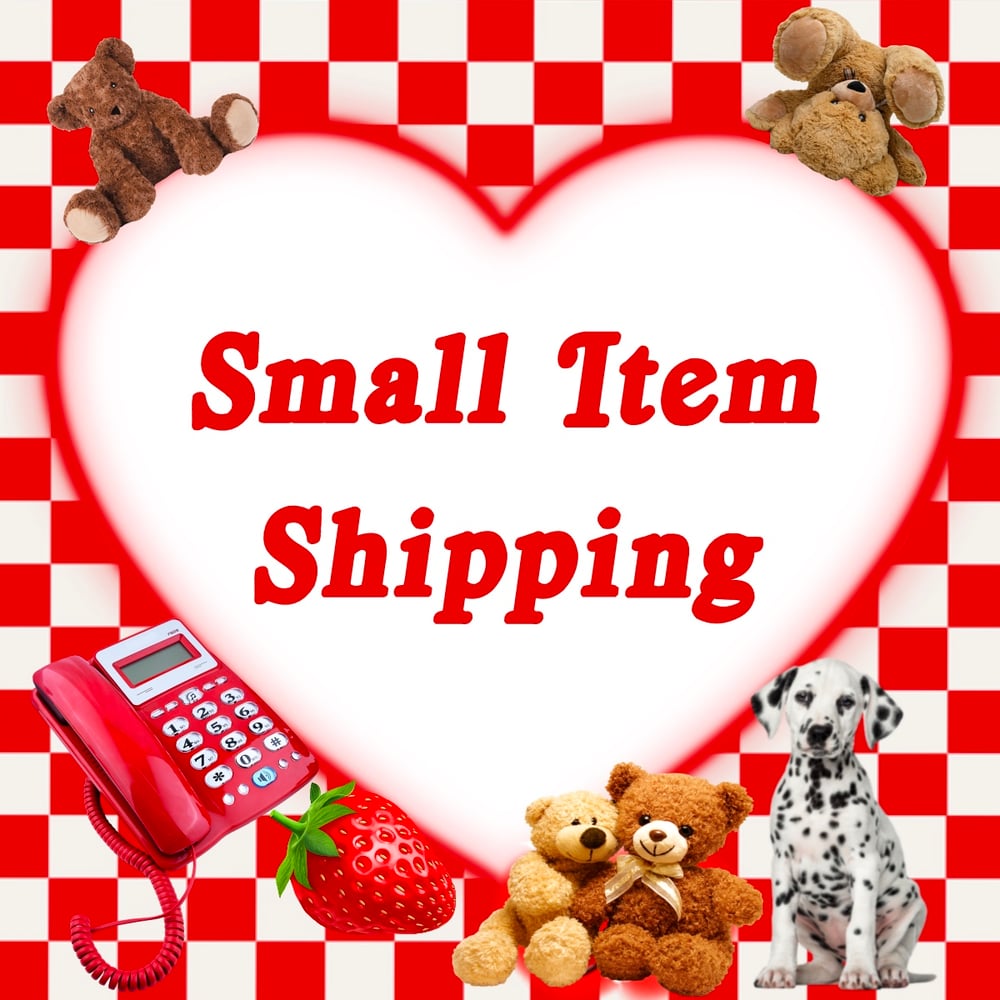Image of SMALL ITEM SHIPPING 