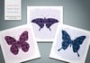 Butterfly Greetings Cards (pack)