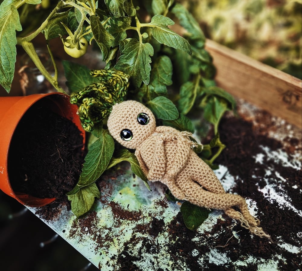 Mandrake Pattern Digital Download