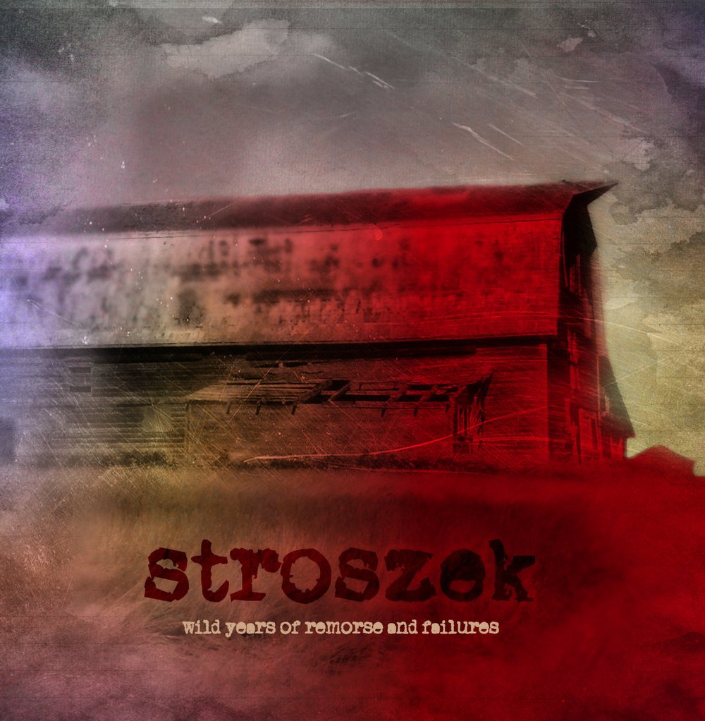 stroszek <br/>"wild years of remorse and failures" CD