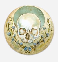 Chicory Skull Sticker