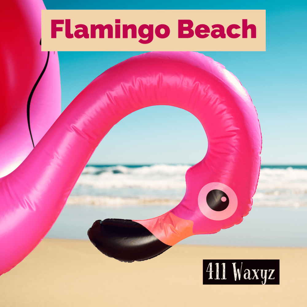 Image of Flamingo Beach-BBW Dupe