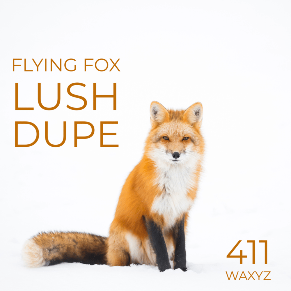 Image of Flying Fox-Lush Type