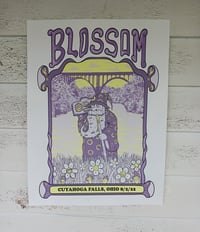 Phish Blossom 8-2-22