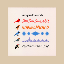 Image of Backyard Sounds Postcard Print