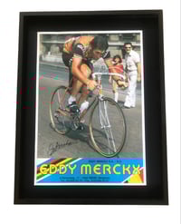 Image 1 of Advertising poster - Signed by the GOAT Eddy Merckx 