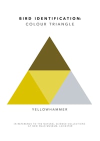 Image 4 of Individual Colour Chart 