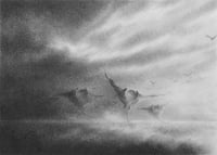 Image 1 of I DANCE IN THE STORM