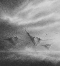 Image 2 of I DANCE IN THE STORM