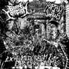 Brain Corrosion / Ripped To Shreds  – Exhumed From Eastern Tombs Split LP 