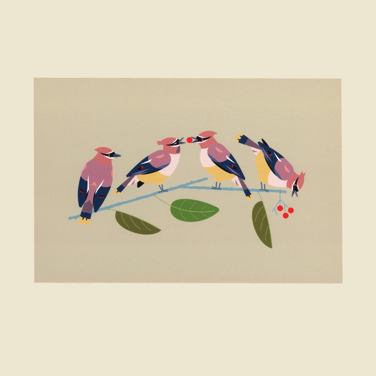 Image of Waxwings Sharing Berrily Postcard Print