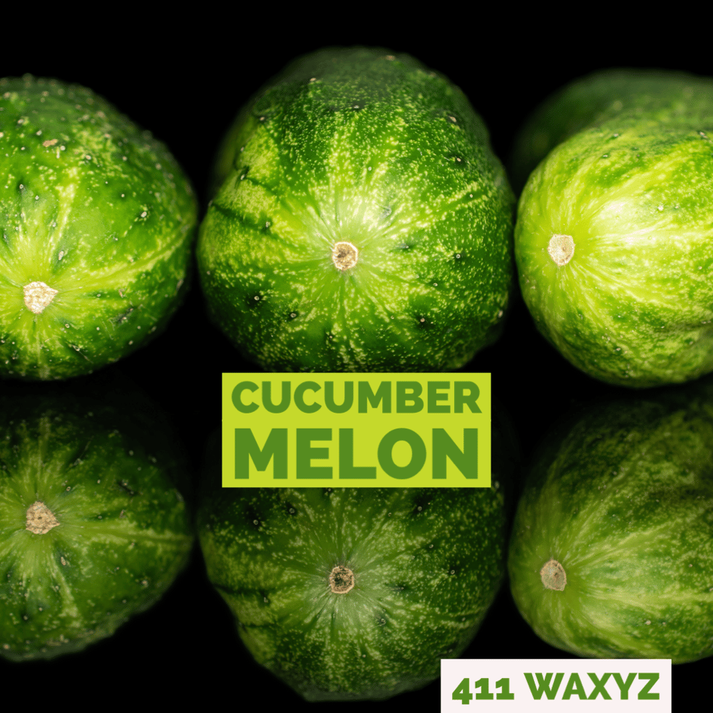 Image of Cucumber Melon