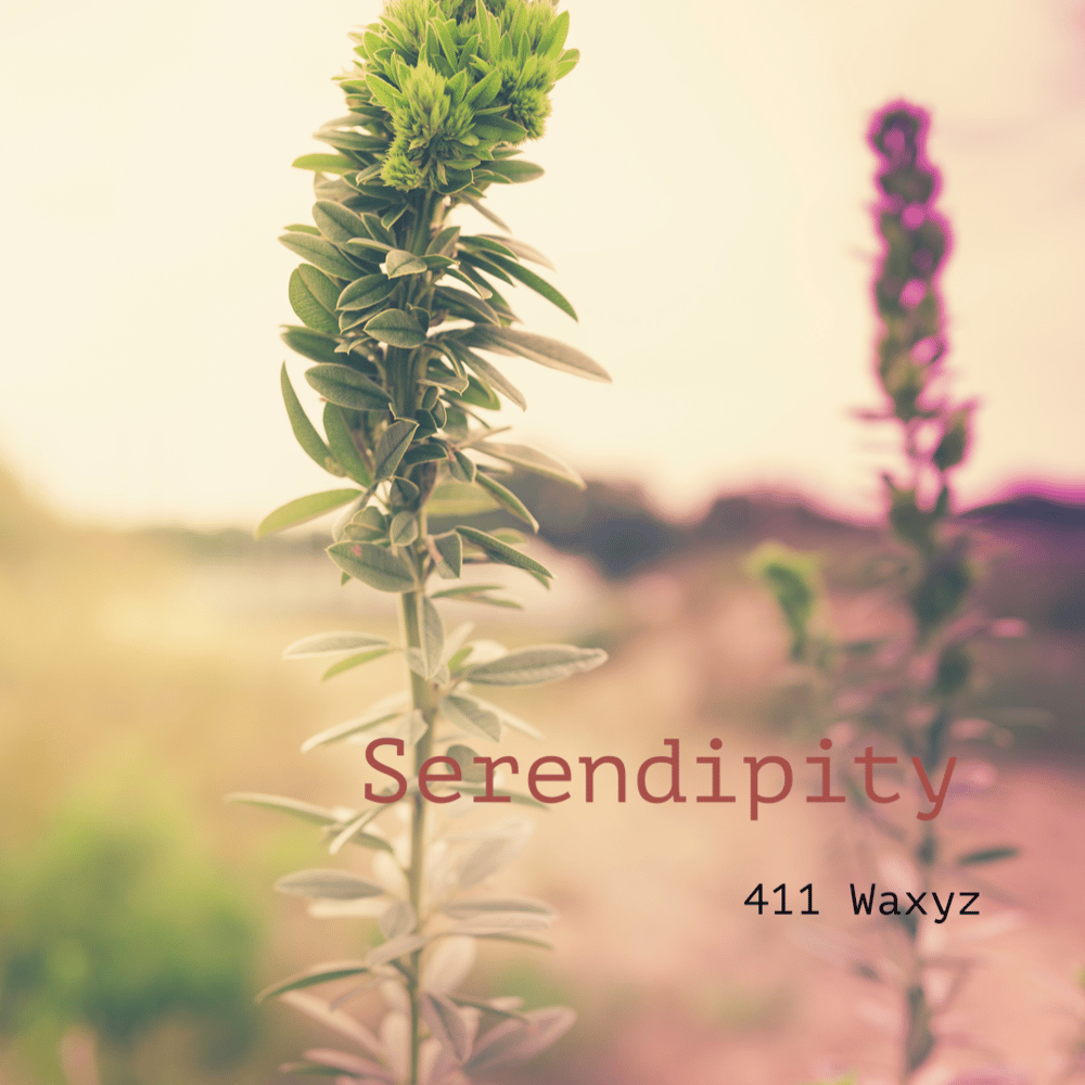 Image of Serendipity