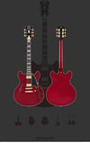 Michael’s D’Angelico Excel DC 