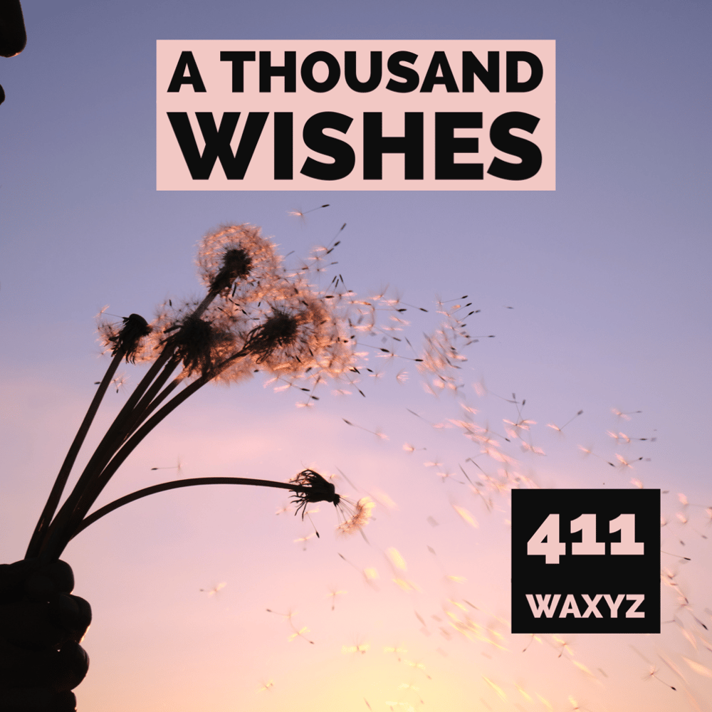 Image of A Thousand Wishes-BBW Dupe