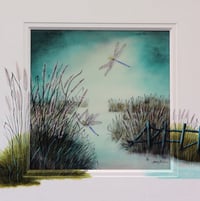 Image 1 of Dragonflies-2 1644 - Limited Edition Print.