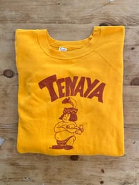 Image 1 of 80s CHAMPION TENAYA SWEATSHIRT