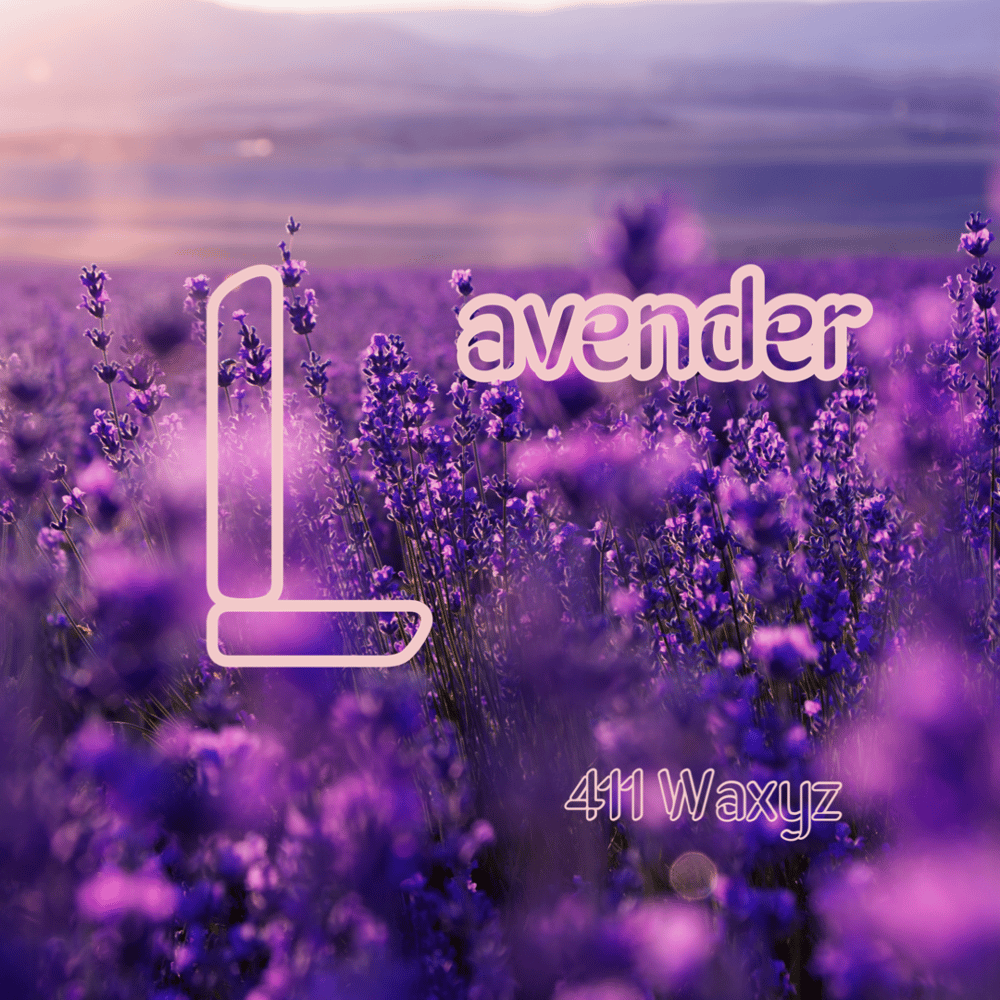 Image of Lavender