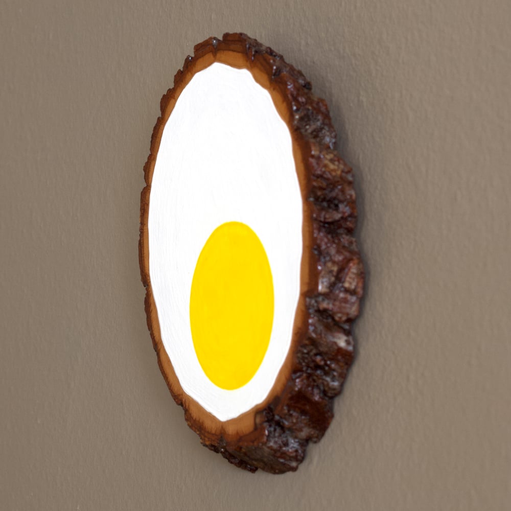 Cross Section of a Hard-Boiled Egg
