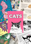 Cats Zine