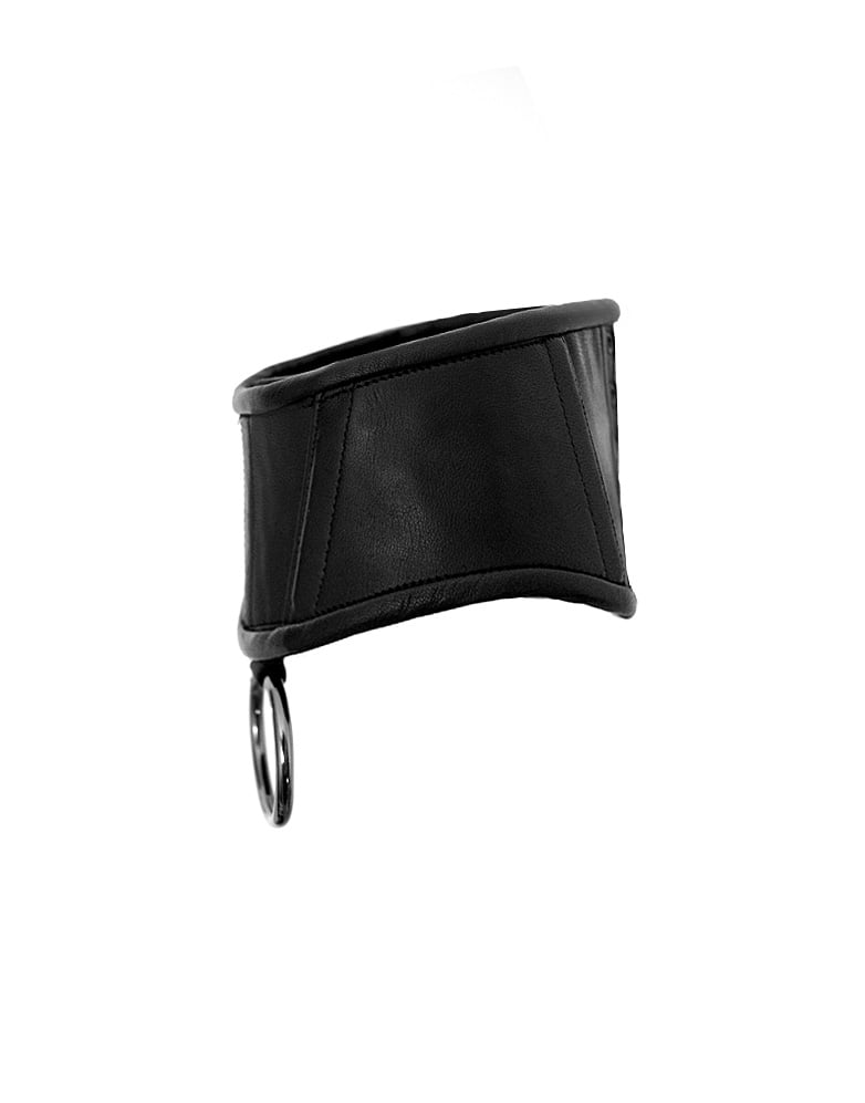 Image of CANICE - LEATHER - POSTURE COLLAR