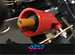 Image of 3 Pedal tuning kit fits Logitech G27/G29/G920 Mod Sim Racing Drifting