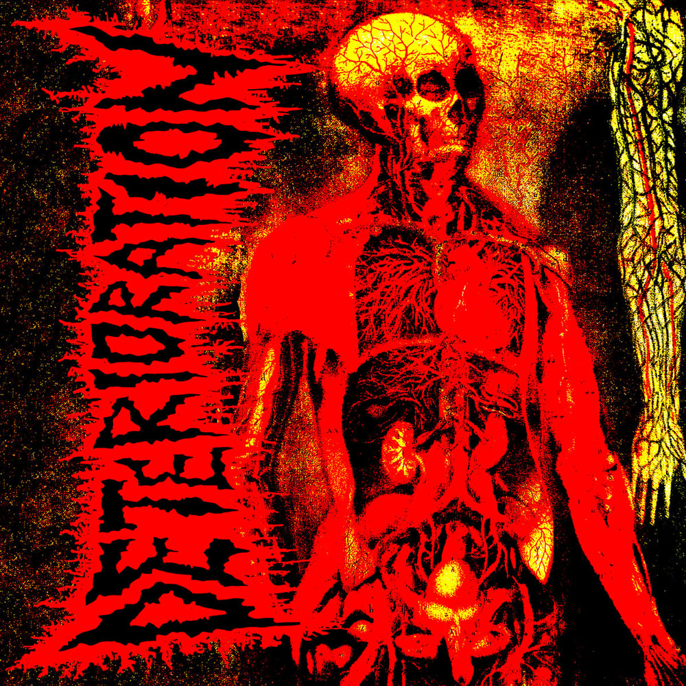 Image of Deterioration - Transcending Human Confines 7"