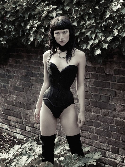 Image of CANICE - LASERCUT LEATHER - POSTURE COLLAR