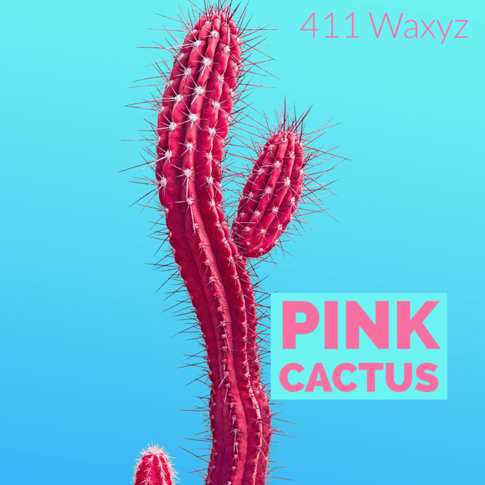 Image of Pink Cactus- House Blend