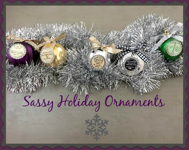 Image of Sassy Holiday Ornaments - Make a great gift - Sure to bring a Laugh! 