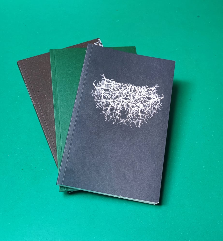 Image of Becoming the Forest zine issues II and IV