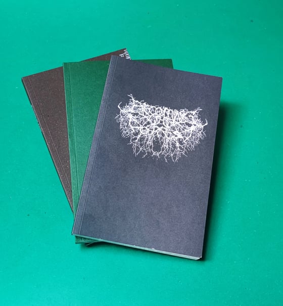 Image of Becoming the Forest zine issues  IV (Vol I,II & III NOW SOLD OUT!)