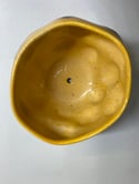 Fiona Bruce Ceramics Melon Plant Pot 2