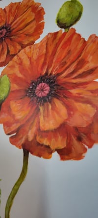 Image 2 of Orange Poppies