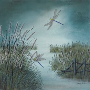 Image of Dragonflies-2 1644 - Limited Edition Prints Collection.