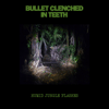 Bullet Clenched in Teeth - Humid Jungle Flashes 