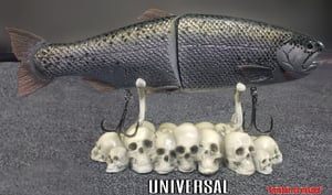 Image of Universal Skull Base