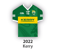 Image 4 of ALL-IRELAND FOOTBALL WINNERS GLOSSY 12x16in  POSTER 2024