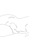Soft