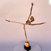 Image 1 of Jumping Jack