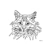 Custom Pet Portrait