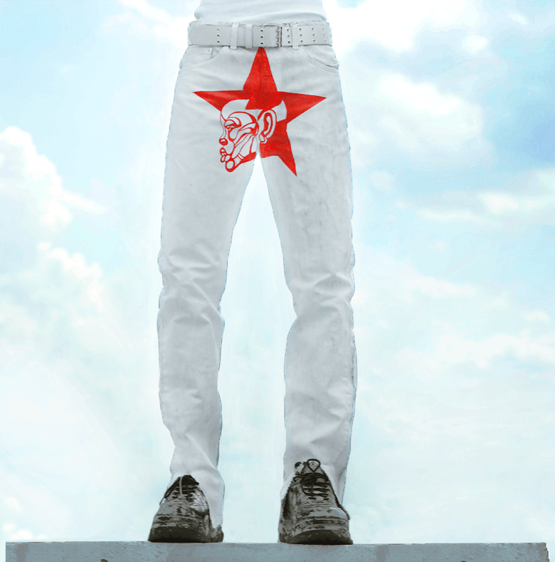 Image of Star Spike painted denim