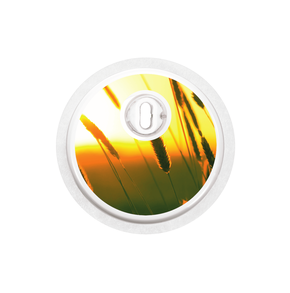 Image of Sunset Freestyle Libre 3 Sticker