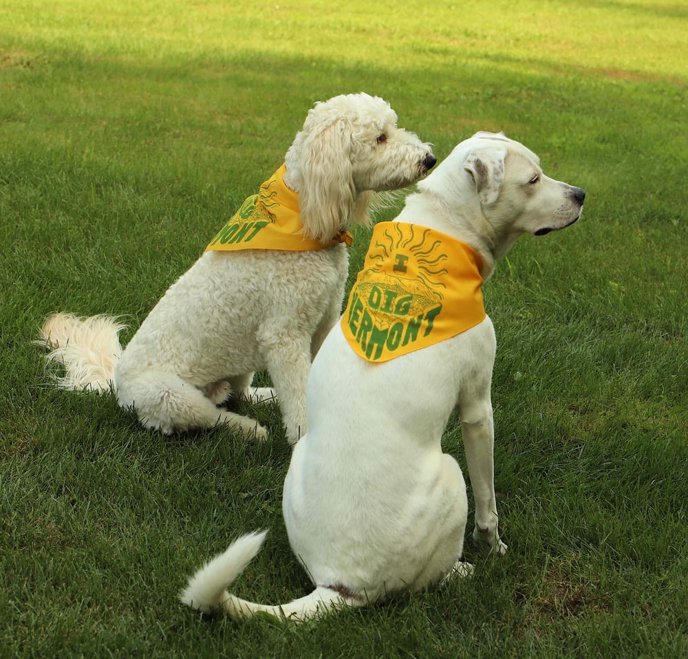 I Dig Vermont Bandana