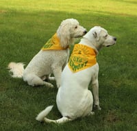 Image 1 of I Dig Vermont Bandana