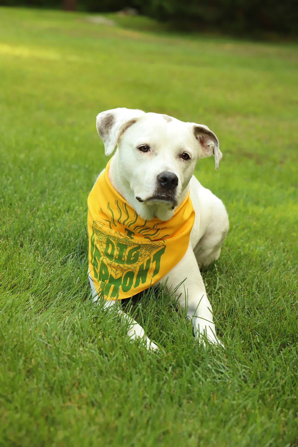 I Dig Vermont Bandana